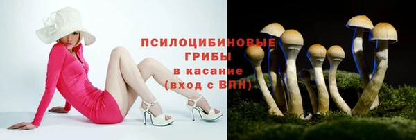 а пвп мука Магадан