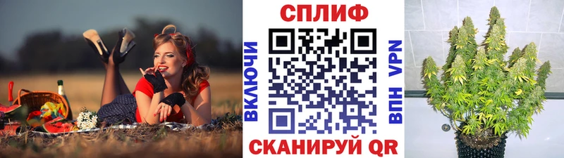 Шишки марихуана ГИДРОПОН Купить Коломна